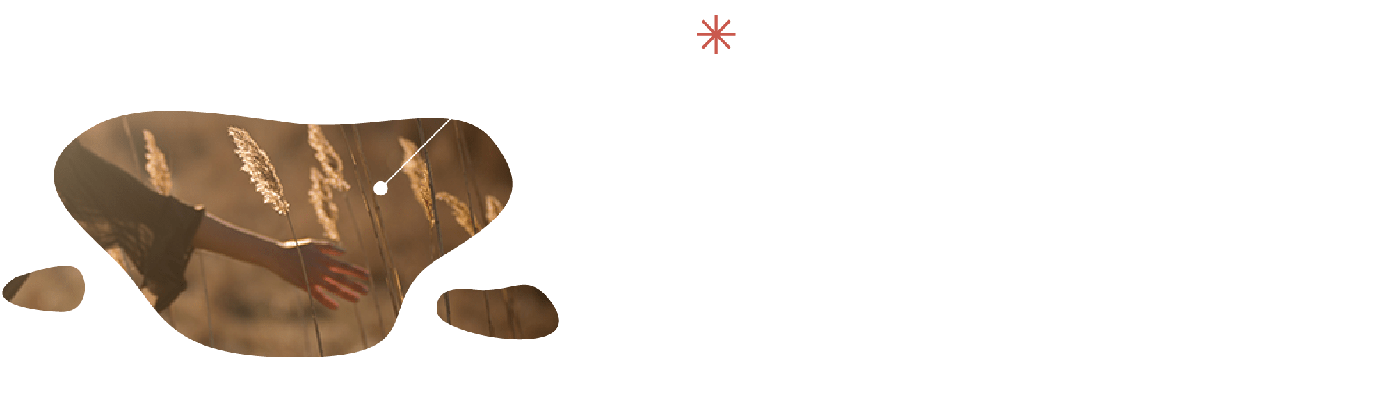 要詩意不要失意