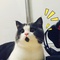瑄