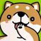 Res Bear