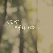 我最喜歡的顏色