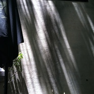 我最喜歡的顏色