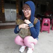 我最喜歡的活動