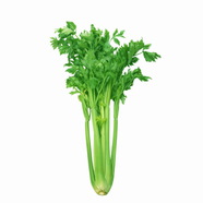 我最喜歡的食物