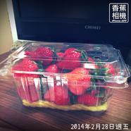我最喜歡的食物