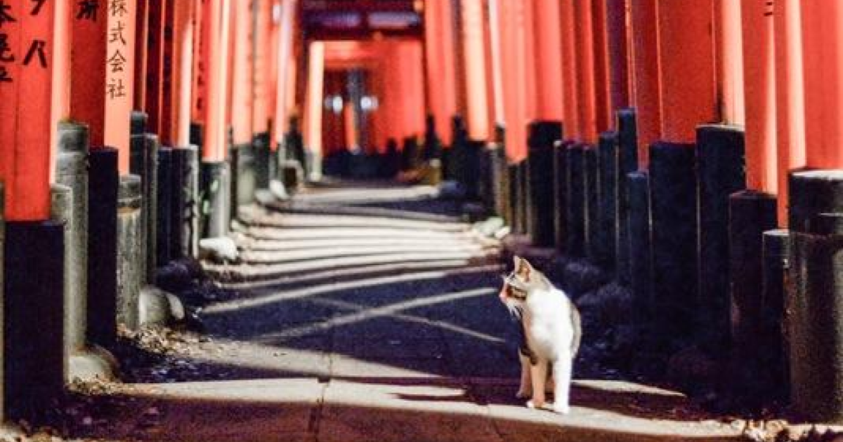 故事攝影集：日子很長、世界很大，沒有人會永遠等在那